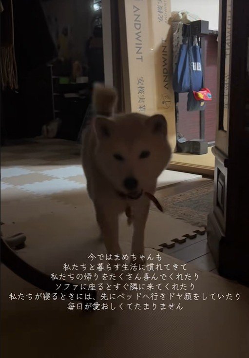 「一緒に寝たい！」と寄ってきて…