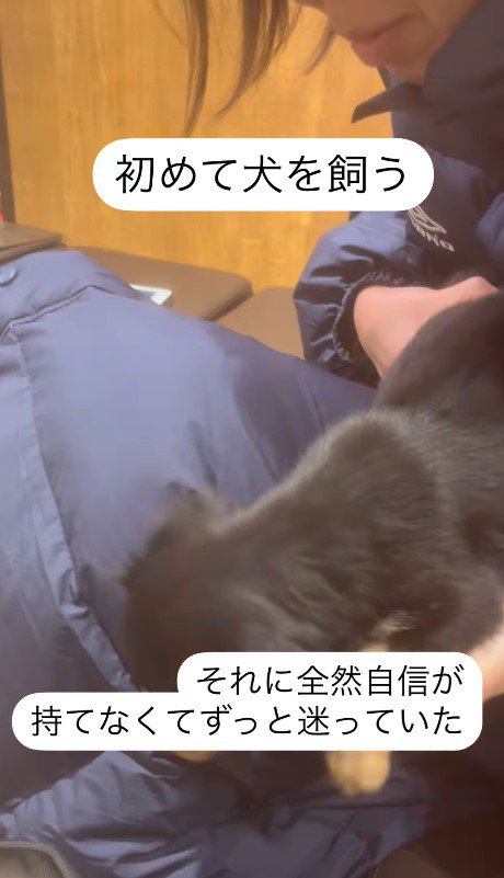 初めて犬を飼った