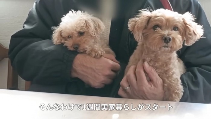 実家での生活がスタート