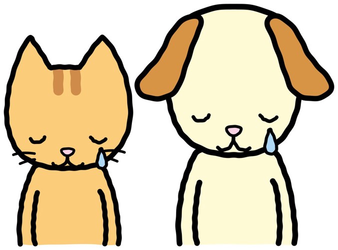 犬猫泣くイラスト