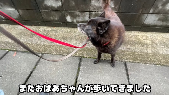 別のおばあちゃんを見たら…