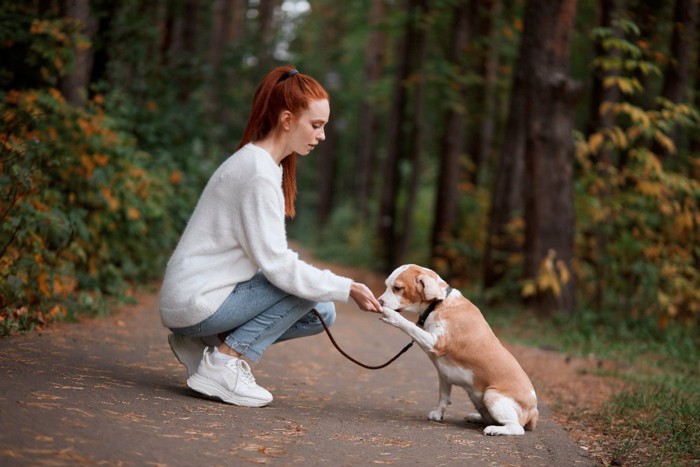 女性の手の匂いを嗅ぐ犬