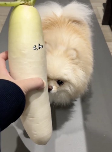 現在も、初めてのものに興味津々