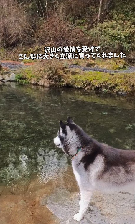 神々しささえ感じるほど…！