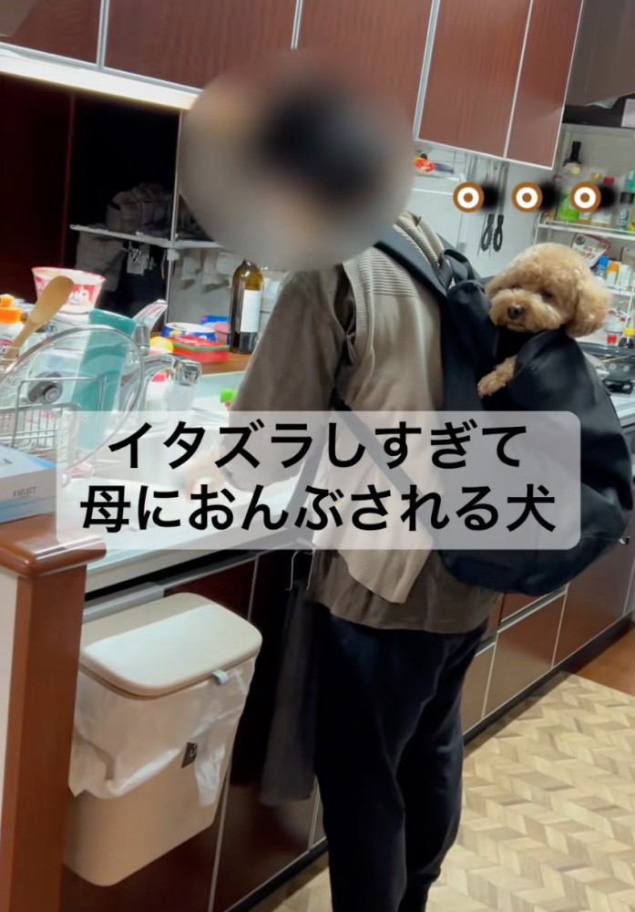 笑顔のバッキーくん