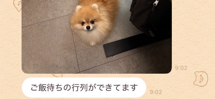 「ご飯待ちの行列が出来ている」