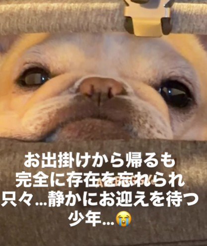 「でもそろそろ出してね…？」