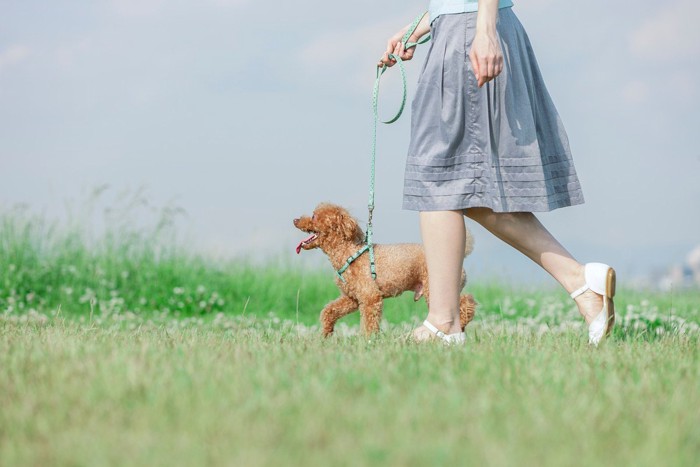 女性と散歩する犬
