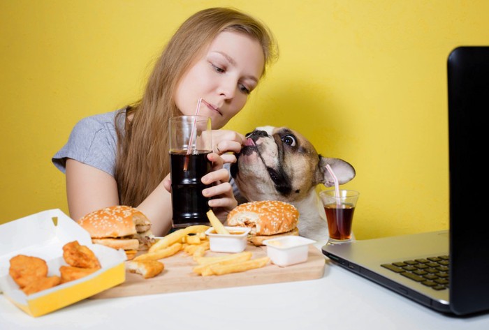 ハンバーガーを食べる犬