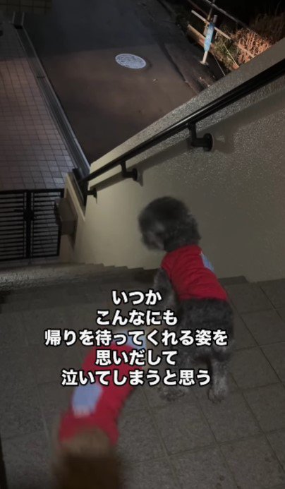 車の音が聞こえる