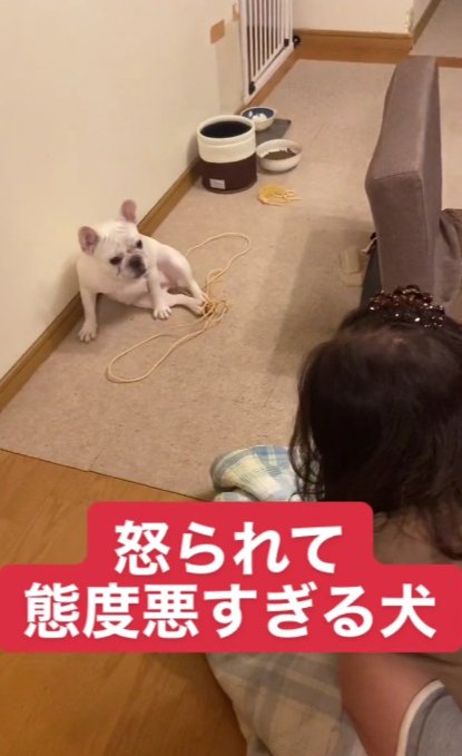 態度が悪すぎる！？