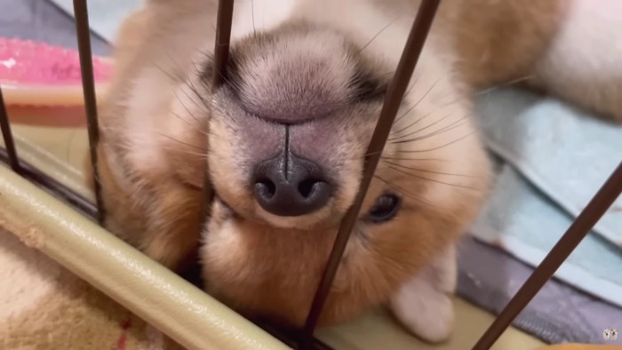 やっぱりここが落ち着くね