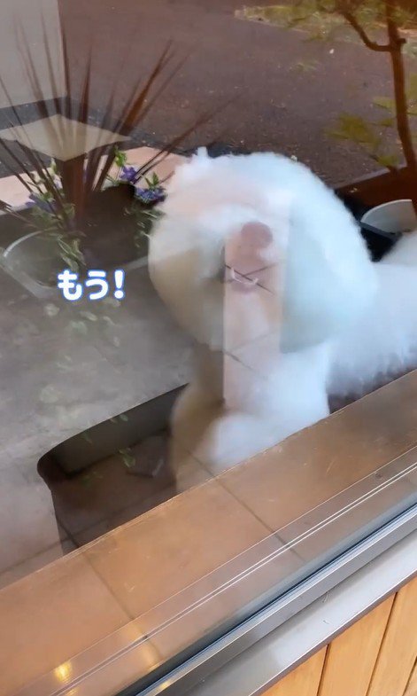 ショーンくんのお迎え7