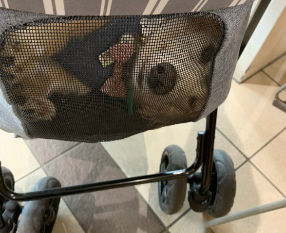 なぜか横向きの体勢に…！