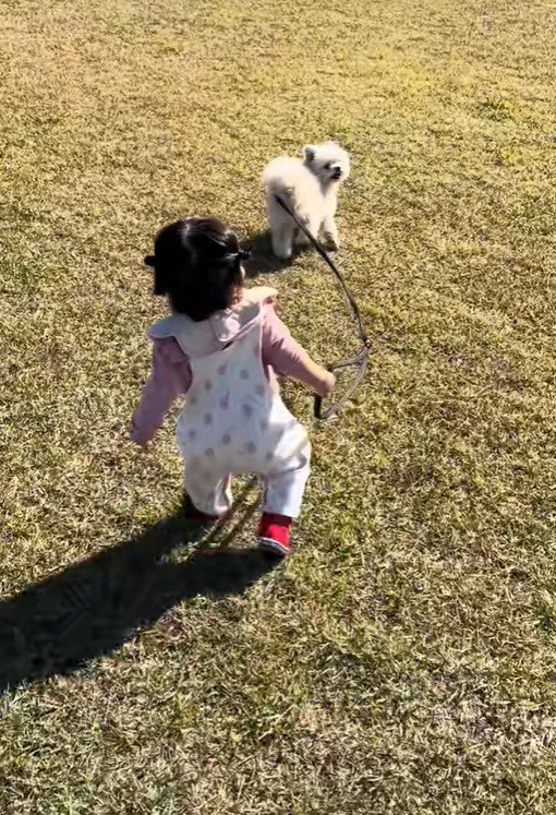 もち君と赤ちゃんのお散歩4