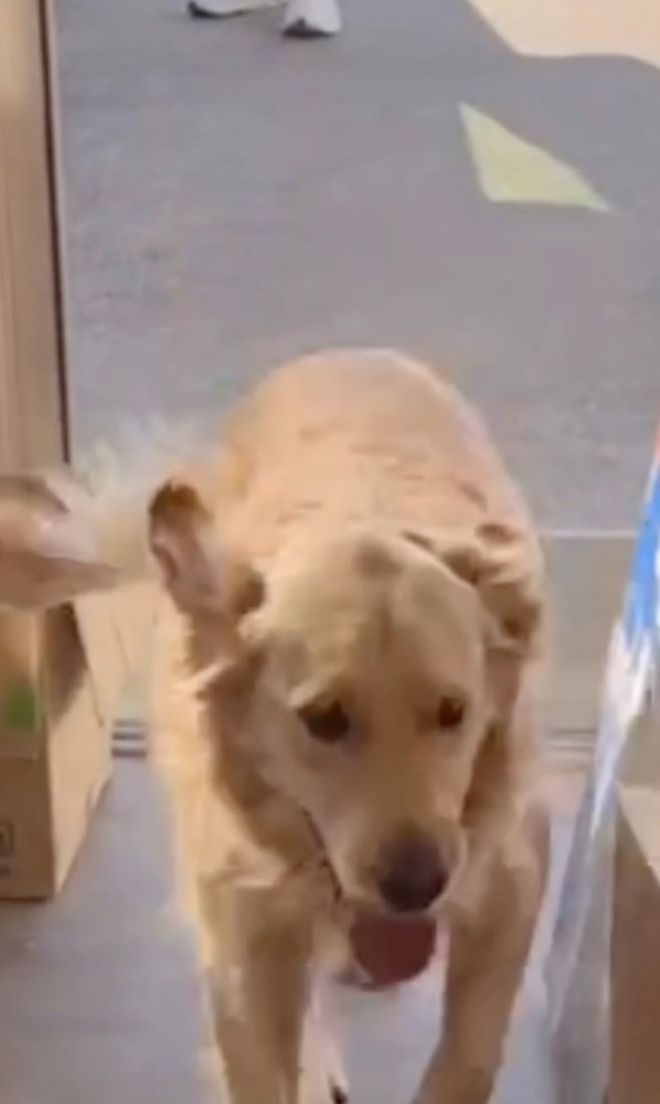 名残惜しいよね