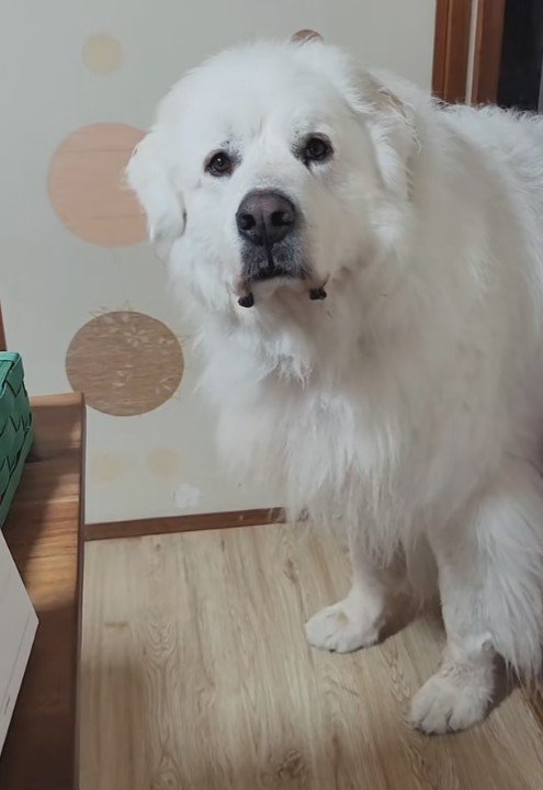 「そんなあ…」