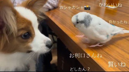 相思相愛なふたりでした