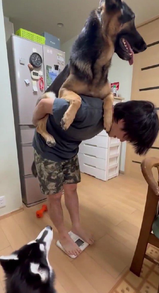 暁ちゃんが自宅で体重測定