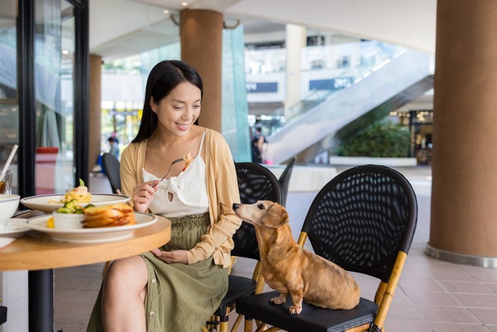 愛犬と外食を楽しむ女性