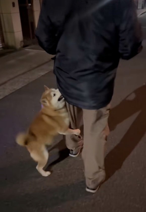 お父さんに訴えるロンくん