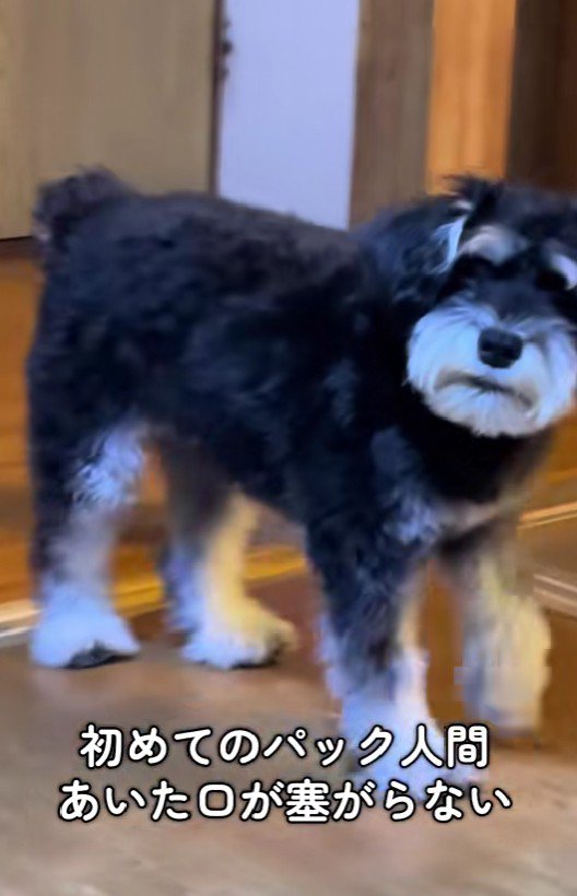 ゆっくりとフェードアウト