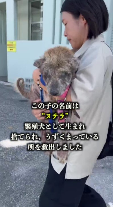 本格的な治療を開始