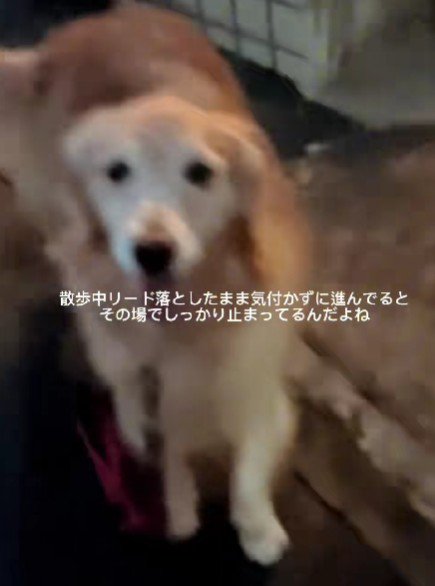 その場で健気に静止