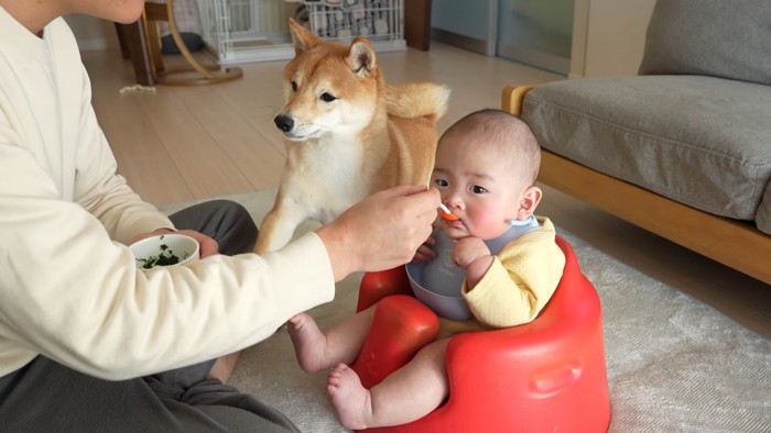 ママにおててをチョン