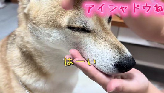 アイシャドウまで！