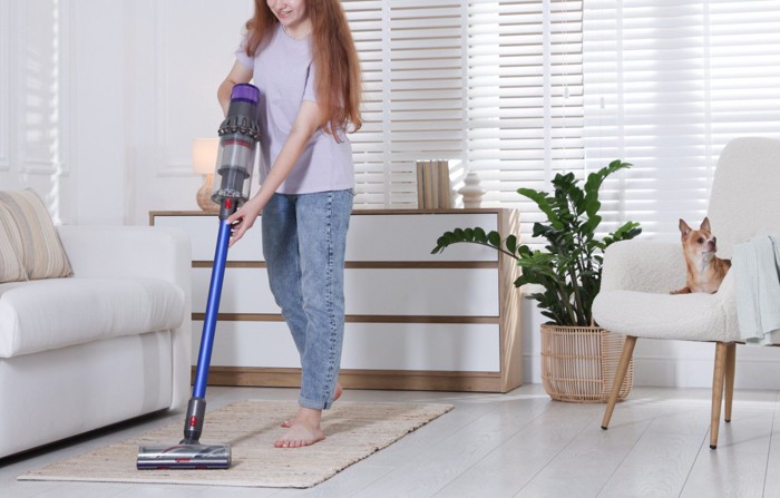 椅子に座るチワワと掃除機をかける女性