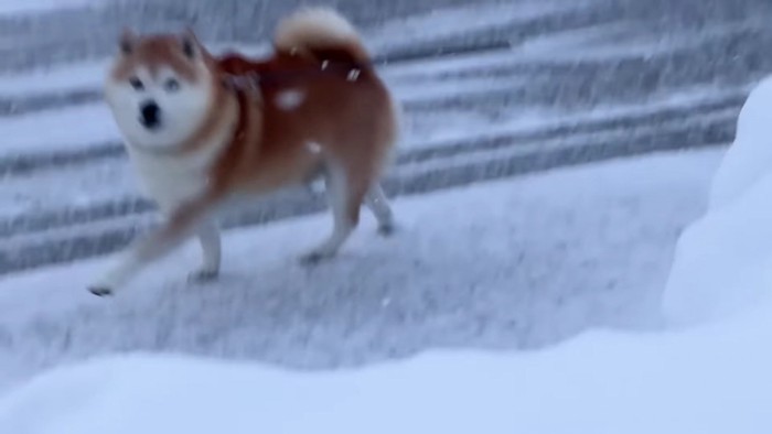 抜け道を発見！！