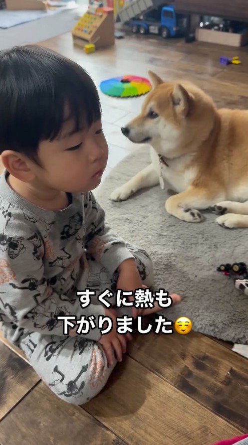 男の子の傍で横になる犬