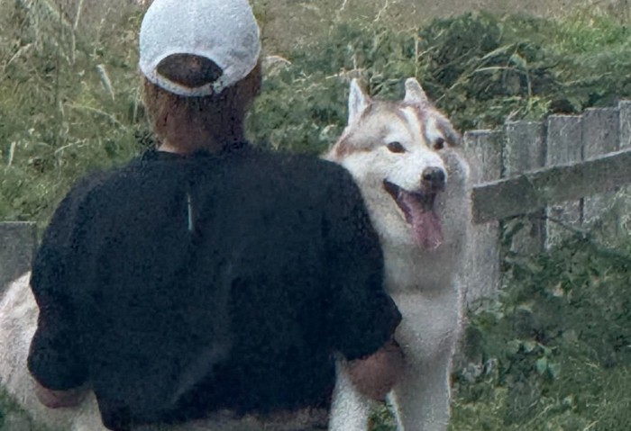 抱っこで運ばれる犬