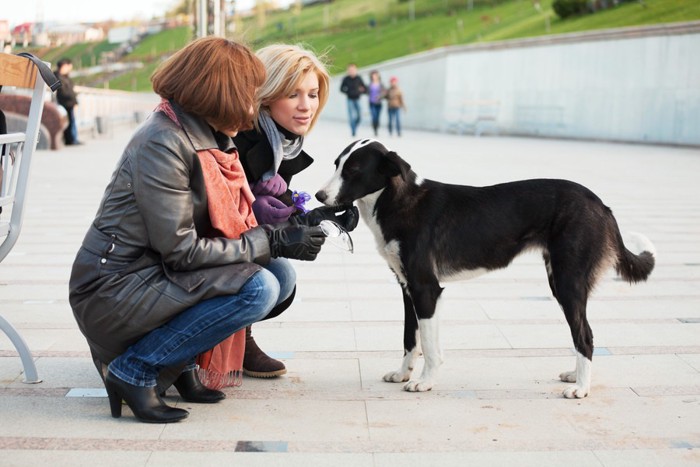 2人の女性と犬