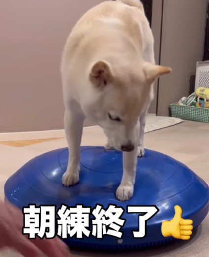 明日からも元気に過ごせる！