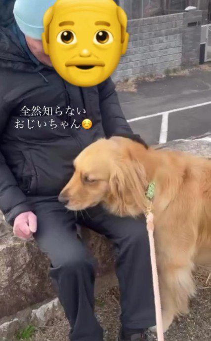 おじいちゃんに甘え始めた