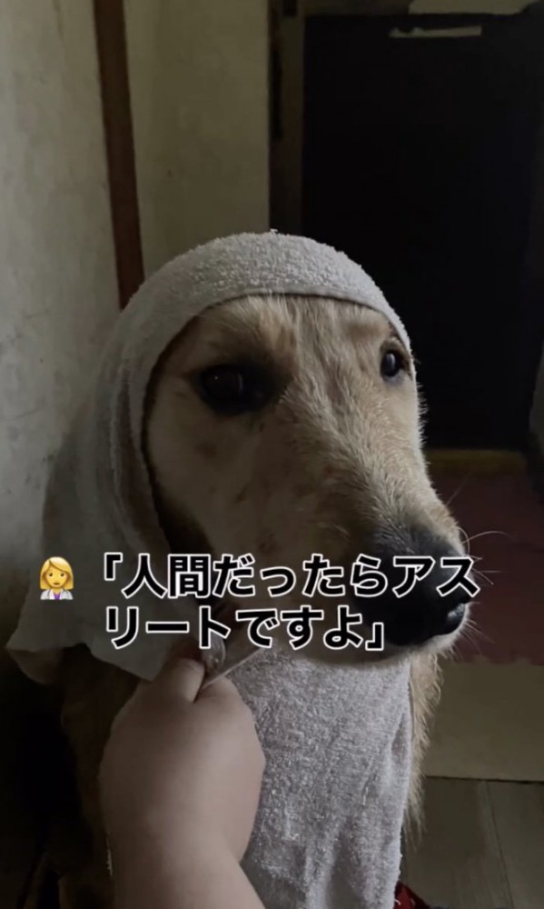 鍛え上げられています