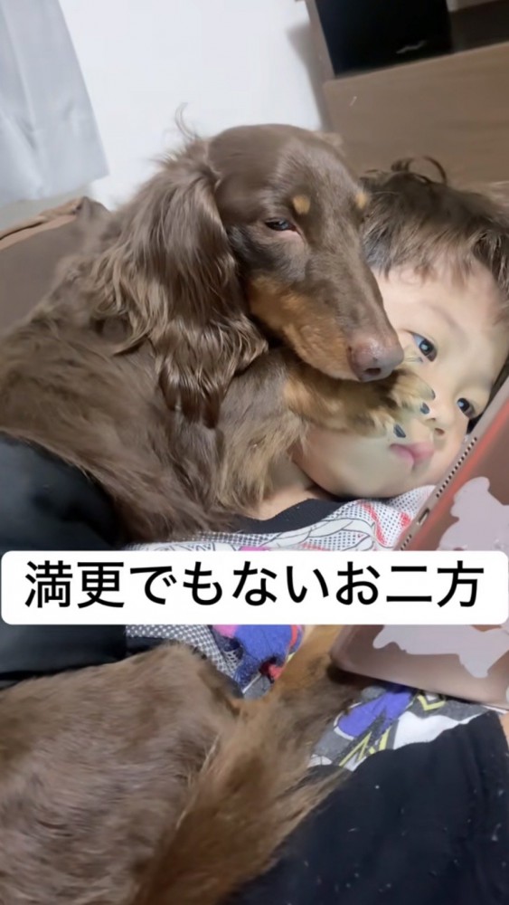 男の子の顔に前足を乗せて眠るダックス