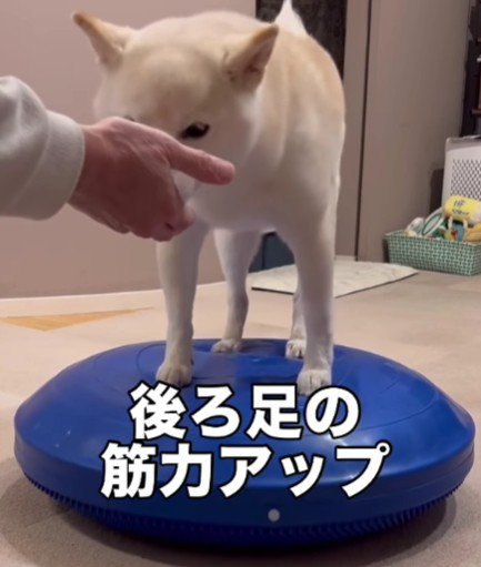 楽しみながら続けてるよ♪