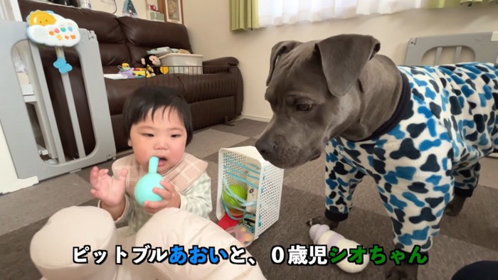 子守をしていたのは…