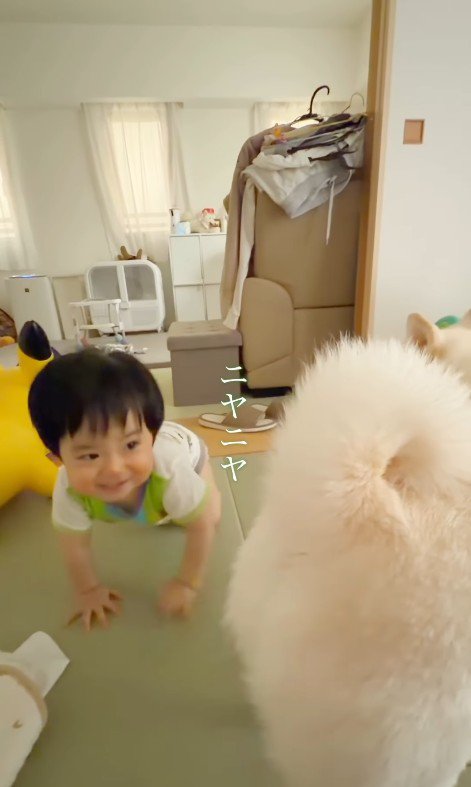 おまめちゃんと赤ちゃん8