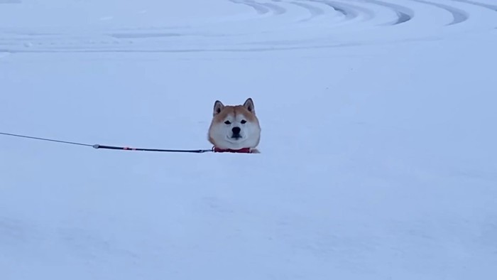 顔だけ浮いてる…！