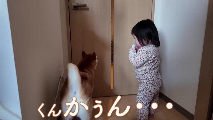 「ワン！」