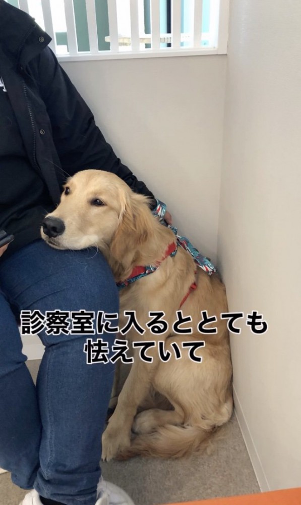 2人とも不安いっぱい