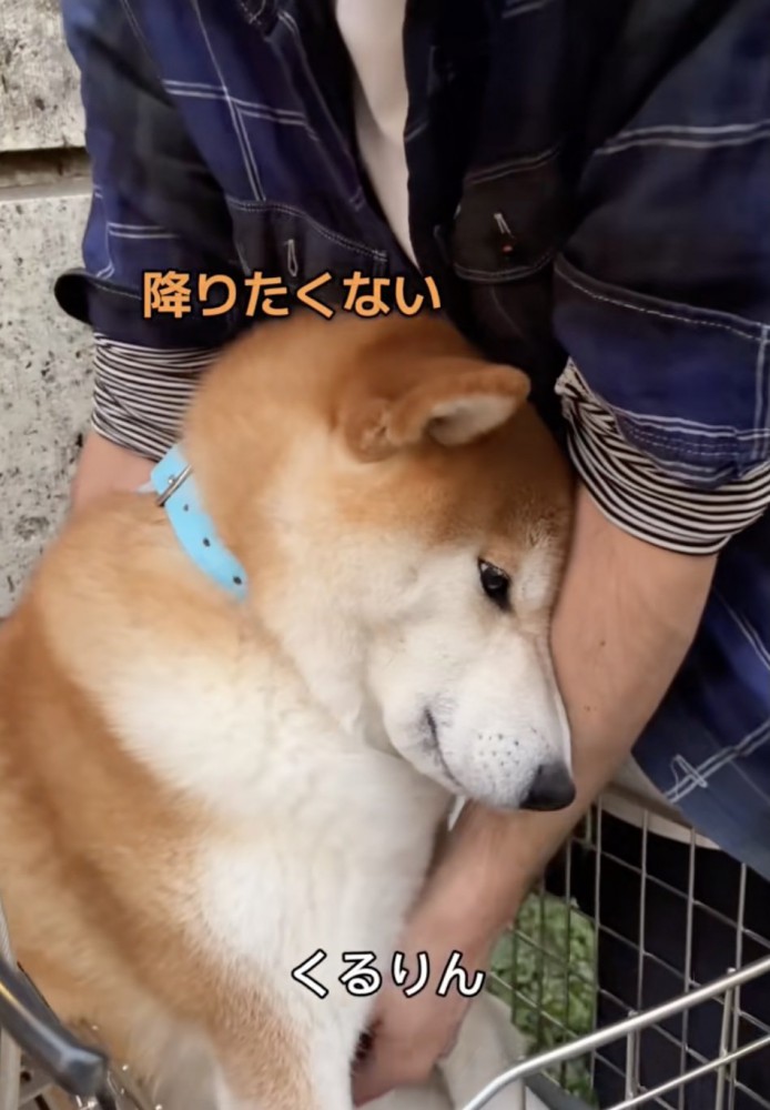 「まだ遊びたい」
