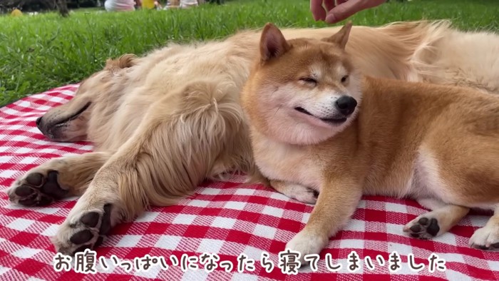 「外って気持ちいい～」