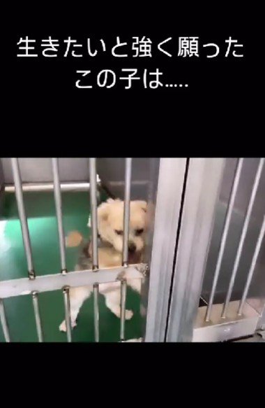 痛々しい姿に涙…