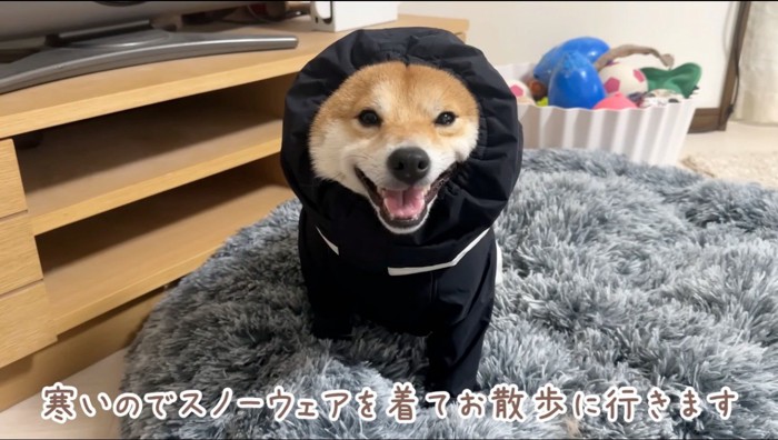 室内でスノーウェアを着て笑顔を見せる犬