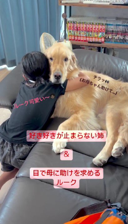 愛犬のルークちゃんのところ♡